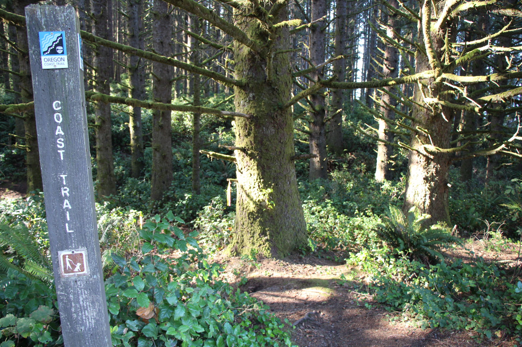 Path to Stunning Views